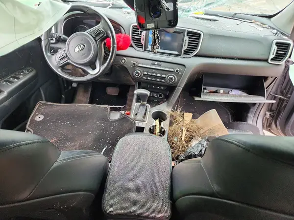 KNDPN3AC8H7074327 2017 KIA SPORTAGE - Image 8