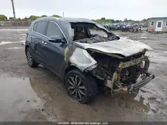 KNDPN3AC8H7148233 2017 KIA SPORTAGE