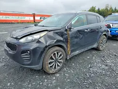 KNDPNCAC4H7235613 2017 KIA SPORTAGE