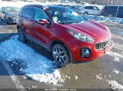 KNDPRCA61K7516502 2019 KIA SPORTAGE