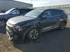 KNDPU3AF3P7033924 2023 KIA SPORTAGE