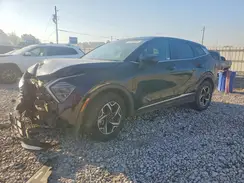 KNDPU3DF1R7268420 2024 KIA SPORTAGE