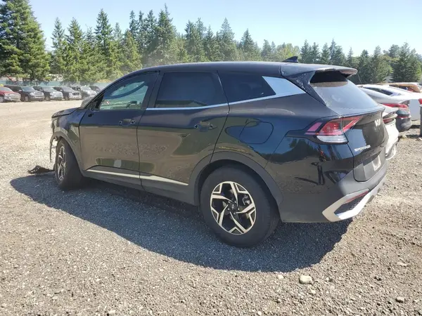 KNDPU3DF1R7308513 2024 KIA SPORTAGE - Image 2