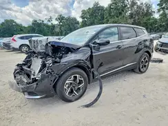 KNDPU3DF5S7351841 2025 KIA SPORTAGE