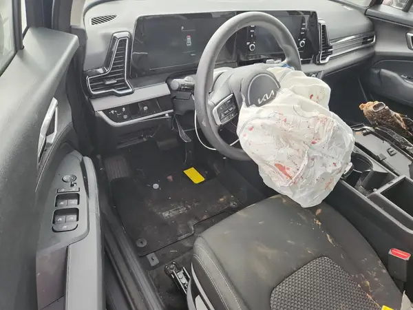 KNDPU3DG3R7119094 2024 KIA SPORTAGE - Image 8