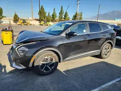 KNDPU3DGXR7170513 2024 KIA SPORTAGE