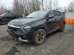 KNDPUCAF4P7095476 2023 KIA SPORTAGE