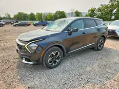 KNDPUCAF4P7099785 2023 KIA SPORTAGE