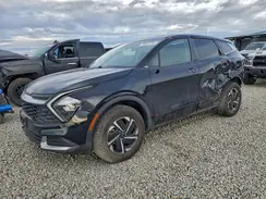 KNDPUCAG8P7061985 2023 KIA SPORTAGE