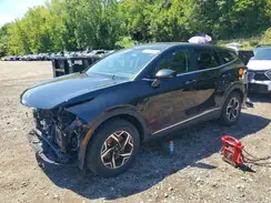 KNDPUCDF0R7242987 2024 KIA SPORTAGE