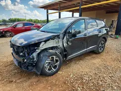 KNDPUCDF7R7214054 2024 KIA SPORTAGE