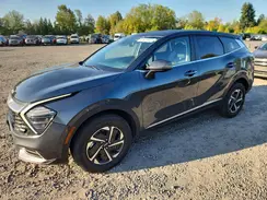 KNDPUCDG3R7137160 2024 KIA SPORTAGE