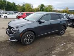 KNDPVCDF6R7257829 2024 KIA SPORTAGE
