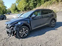 KNDPVCDG1R7164418 2024 KIA SPORTAGE