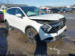 KNDPVCDG3R7148785 2024 KIA SPORTAGE