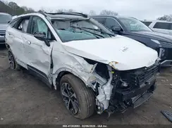 KNDPVCDG4R7151453 2024 KIA SPORTAGE