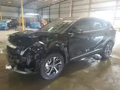KNDPVCDG4R7156023 2024 KIA SPORTAGE