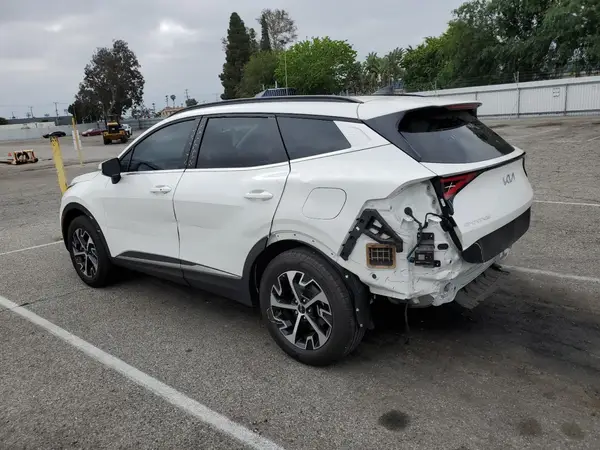 KNDPVCDG6R7154970 2024 KIA SPORTAGE - Image 2