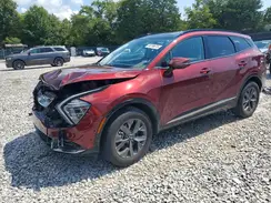 KNDPXCDG7R7126704 2024 KIA SPORTAGE