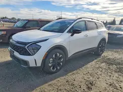 KNDPYDDH1R7165431 2024 KIA SPORTAGE