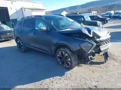 KNDPYDDH6R7137477 2024 KIA SPORTAGE