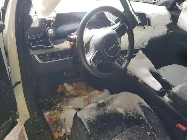 KNDPZDDH3S7181102 2025 KIA SPORTAGE - Image 8