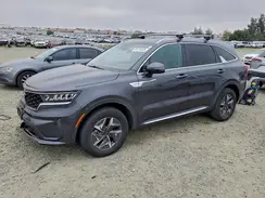 KNDRG4LG5M5024239 2021 KIA SORENTO