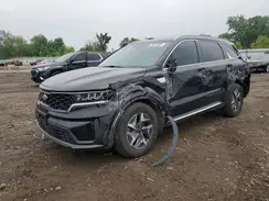 KNDRG4LGXM5059598 2021 KIA SORENTO