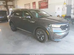 KNDRGDLG2N5081497 2022 KIA SORENTO