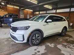 KNDRGDLG2N5125028 2022 KIA SORENTO