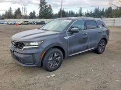 KNDRGDLG3N5122302 2022 KIA SORENTO