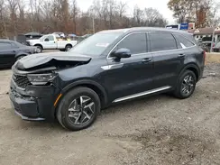 KNDRGDLG7N5080362 2022 KIA SORENTO
