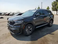 KNDRH4LG0P5172512 2023 KIA SORENTO