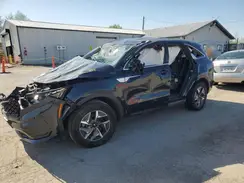 KNDRH4LG1P5176259 2023 KIA SORENTO