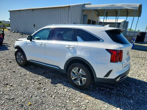 KNDRH4LG3P5159043 2023 KIA SORENTO - Image 2