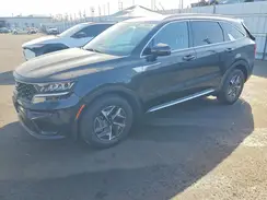 KNDRH4LG3P5178742 2023 KIA SORENTO