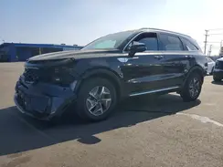 KNDRH4LG4P5155602 2023 KIA SORENTO