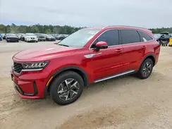 KNDRH4LG5P5167483 2023 KIA SORENTO