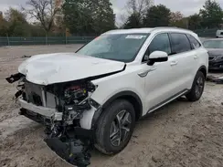 KNDRH4LG8P5221682 2023 KIA SORENTO