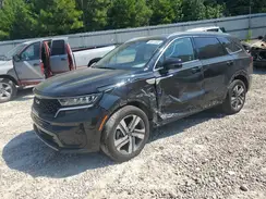 KNDRHDLG0P5175216 2023 KIA SORENTO