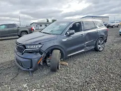 KNDRHDLG0P5194591 2023 KIA SORENTO