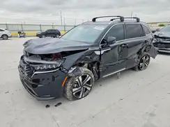 KNDRHDLG0R5246952 2024 KIA SORENTO
