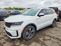 KNDRHDLG1P5210846 2023 KIA SORENTO