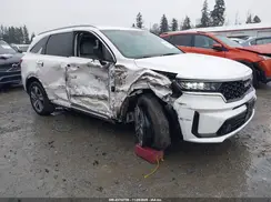 KNDRHDLG1R5235488 2024 KIA SORENTO