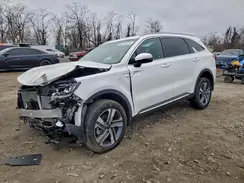 KNDRHDLG1R5247401 2024 KIA SORENTO