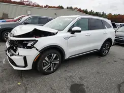 KNDRHDLG1R5248662 2024 KIA SORENTO