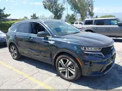 KNDRHDLG1R5259290 2024 KIA SORENTO