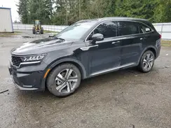 KNDRHDLG2P5162225 2023 KIA SORENTO