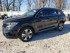 KNDRHDLG2P5213335 2023 KIA SORENTO