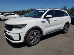 KNDRHDLG3P5173220 2023 KIA SORENTO